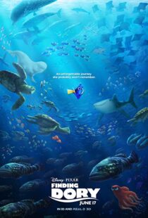 دانلود انیمیشن Finding Dory 201658678-88808115