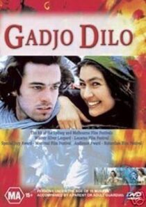 دانلود فیلم The Crazy Stranger 1997407241-283002062