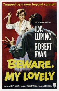 دانلود فیلم Beware, My Lovely 1952420627-2137635402