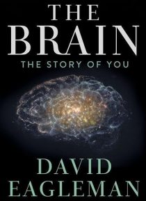 دانلود سریال The Brain with Dr. David Eagleman428613-302224455