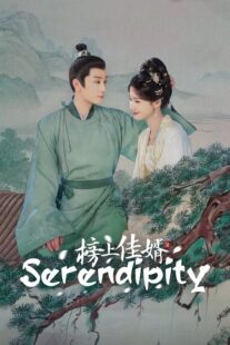 دانلود سریال Serendipity432481-30287123